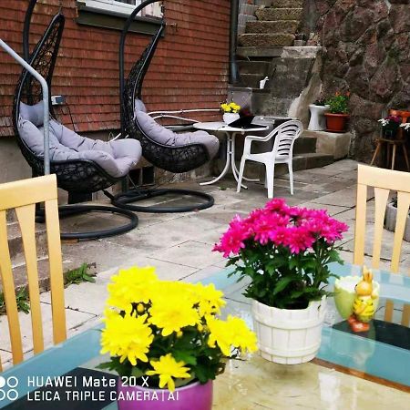Rosen Garten Haus Titisee-Neustadt Εξωτερικό φωτογραφία